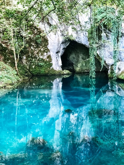绿树在晶莹湛蓝的水体上的倒影